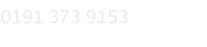 0191 373 9153